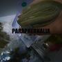 Paraphernalia (Explicit)