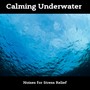 Calming Underwater Noises for Stress Relief