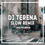 DJ Terena Slow Remix (Ins)