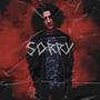 Sorry (feat. Zenotic)