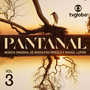 Pantanal, Vol. 3