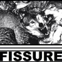 FISSURE