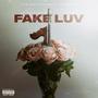 Fake Luv (Explicit)