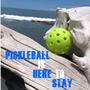 Pickleball is Here to Stay (feat. Janice Smith)