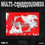 Multi-Consciousness