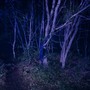 да просвятит нас бог (Explicit)