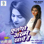 Phoolon Se Zakhm Khaye Hain - Single