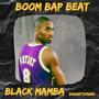 BLACK MAMBA