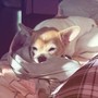 Шиз (Explicit)