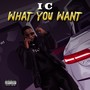 What You Want (Explicit)