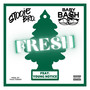 Fresh (feat. Young Notice) [Explicit]