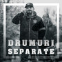 Drumuri separate (Explicit)