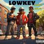 LOWKEY (feat. 24Kartz) [Explicit]