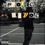 PROJECT HAVOC 2 (Explicit)