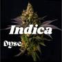 Indica (Explicit)