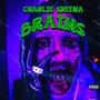 Brains (Explicit)