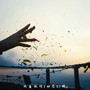 欢喜就好（动感DJ版）