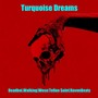 Turquoise Dreams (Explicit)