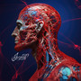 Strengthen Your Autonomic Nervous System (Deep Vagus Nerve Massage)