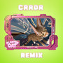 Plaster Cat (CORREDOR Remix) [Explicit]