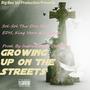 Growing Up On The Streets (feat. EDH, King Veno & J Auburn) [Explicit]