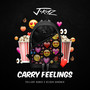 Carry Feelings (Explicit)