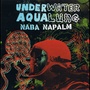 Underwater Aqualung