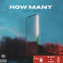 How Many (feat. Vice Blow) [Explicit]