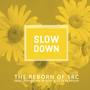 Slow Down (feat. DJ Zeri Fresh & Christian Regar) (Explicit)