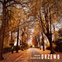Drzewo (Explicit)