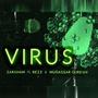 Virus (feat. Rezz & Mudassar Qureshi) [Explicit]