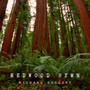 Redwood Hymn