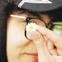 El Sol y Sus Flores