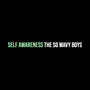 Self Awareness (Explicit)