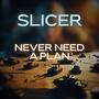 Never Need A Plan (Radio Edit)