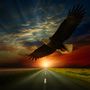 Der Sonne entgegen (Single Edit)