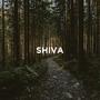 Shiva