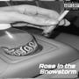 ROSE IN THE SNOWSTORM (Explicit)