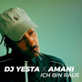 Ich Bin Raus