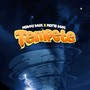 Tempete