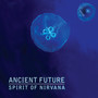 Spirit of Nirvana (Extended Intro & Radio Edit)