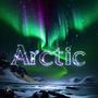 Arctic (feat. Danny cool) [Explicit]