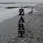 ŻART (feat. Bonson) [Explicit]