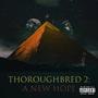Thoroughbred 2: A New Hope (Explicit)