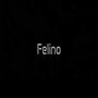 Felino (feat. Silvestre Roes)