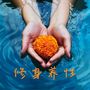 修身养性 – 增进积极思考的音乐，适合失眠治疗，压力缓解，愤怒管理的深度放松音乐，舒缓的声音