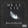 Book Of Netan'el (Explicit)