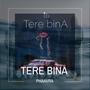 TERE BINA (feat. Vaayu) [A&A Remix]