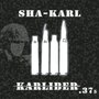 Karliber .375