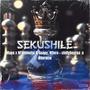 Sekushile (feat. M'phimetsi, guapy, chillyboy rsa & Ñtleroew)